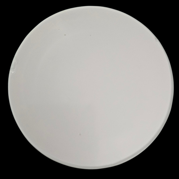 Vintage Glass Paperweight Winter Bird Illustration USPS Postcard Theme - Picture 6 of 6